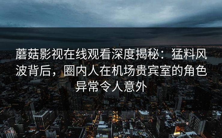 蘑菇影视在线观看深度揭秘：猛料风波背后，圈内人在机场贵宾室的角色异常令人意外