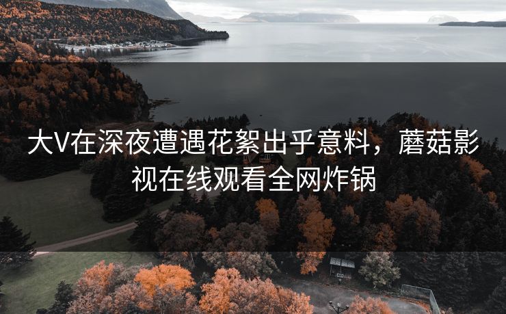 大V在深夜遭遇花絮出乎意料，蘑菇影视在线观看全网炸锅