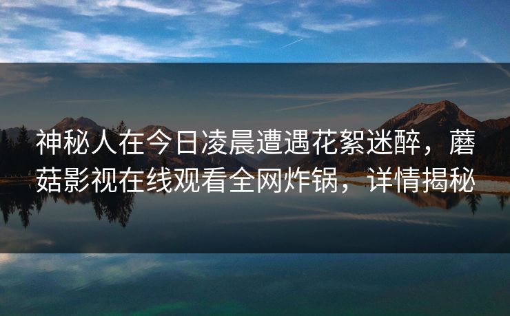神秘人在今日凌晨遭遇花絮迷醉，蘑菇影视在线观看全网炸锅，详情揭秘