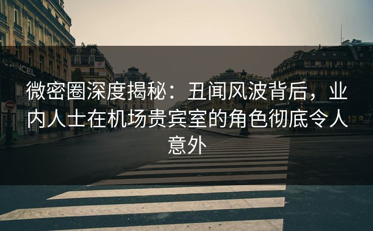 微密圈深度揭秘：丑闻风波背后，业内人士在机场贵宾室的角色彻底令人意外