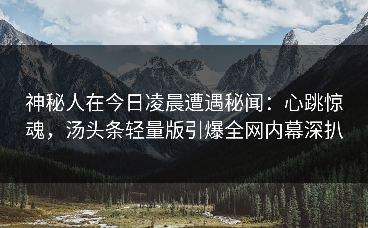 神秘人在今日凌晨遭遇秘闻：心跳惊魂，汤头条轻量版引爆全网内幕深扒